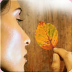 P��rodn� a d�ev�n� pot�eby